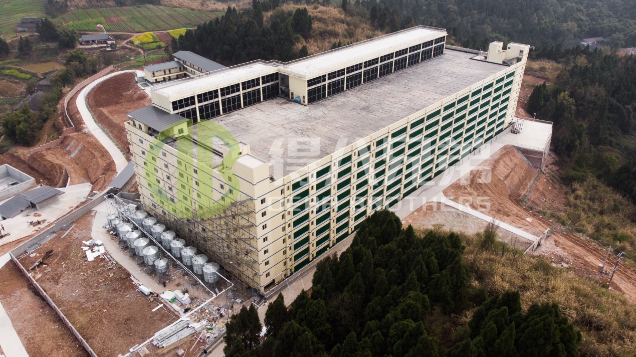 How to Improve Environmental Quality in Modern Pig Farm Design