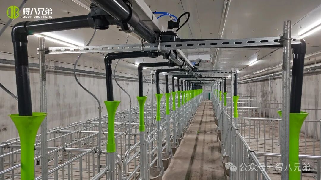 Deba Brother Licha Black Pig Breeding and Cultivation Demonstration Base - Integrated Operations of 2,000 Sows, 50,000 Annual Slaughter, 67,000 square meters