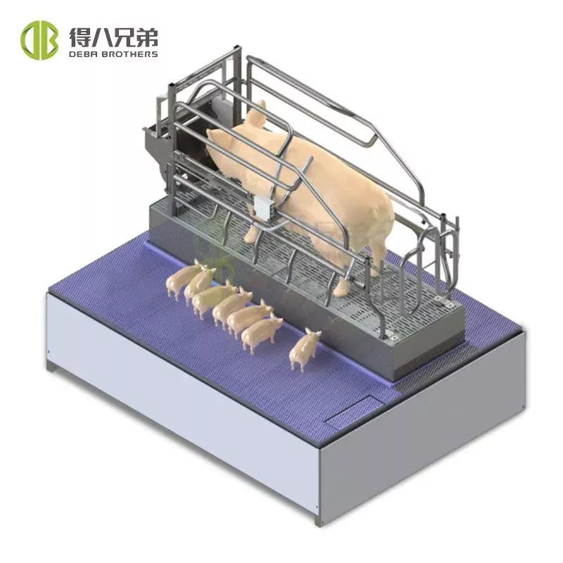 Precise Feeding Boosts Lactation & Scientific Management Cultivates Robust Piglets — Debabrother Empowers Efficient Breeding of Lactating Sows