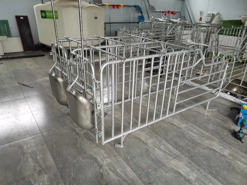 Core Advantages of Hot-Dip Galvanizing for Pig Farming Pen Equipment