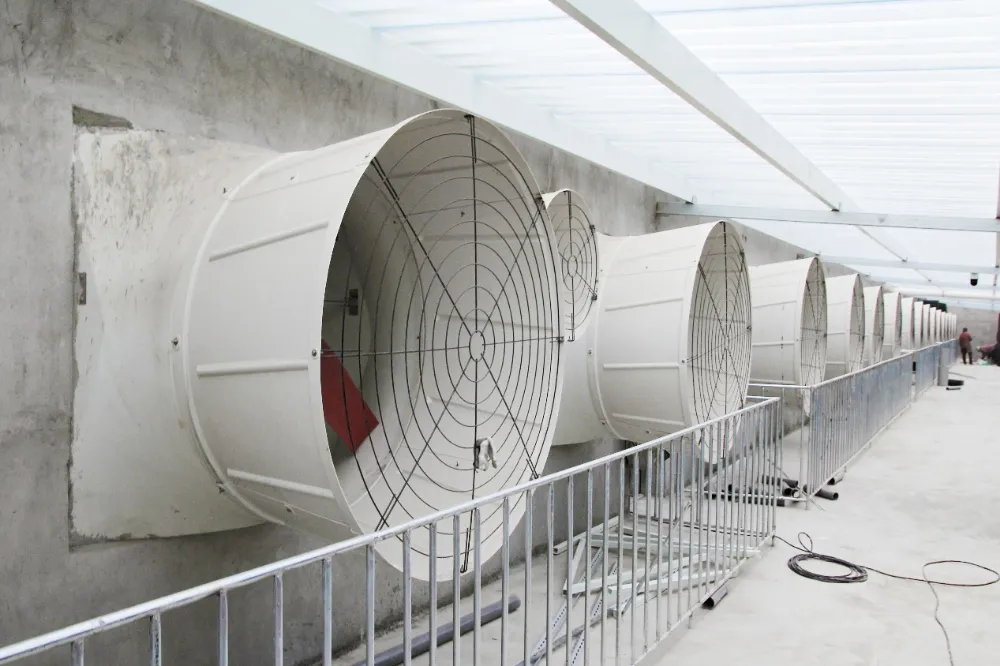 Intelligent Climate Control Becomes a Hot Trend in Large-Scale Pig Farm Upgrades