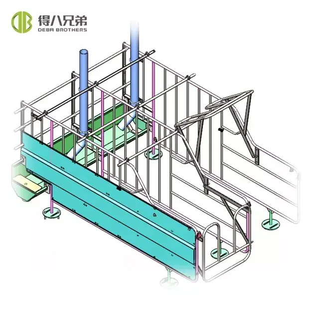 Spanish Gestation Stall